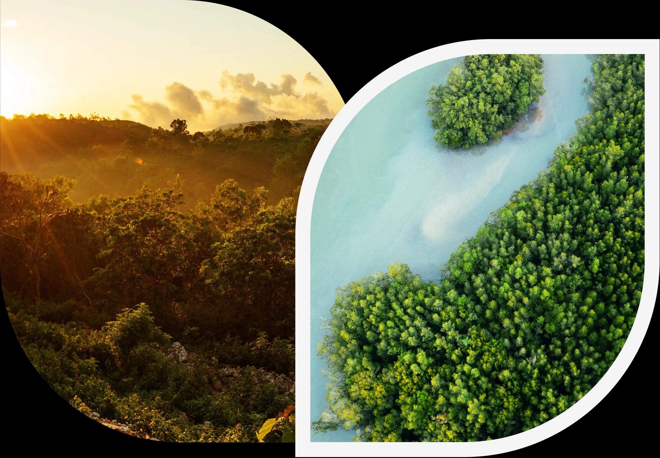 WeSimplifyPurchasing